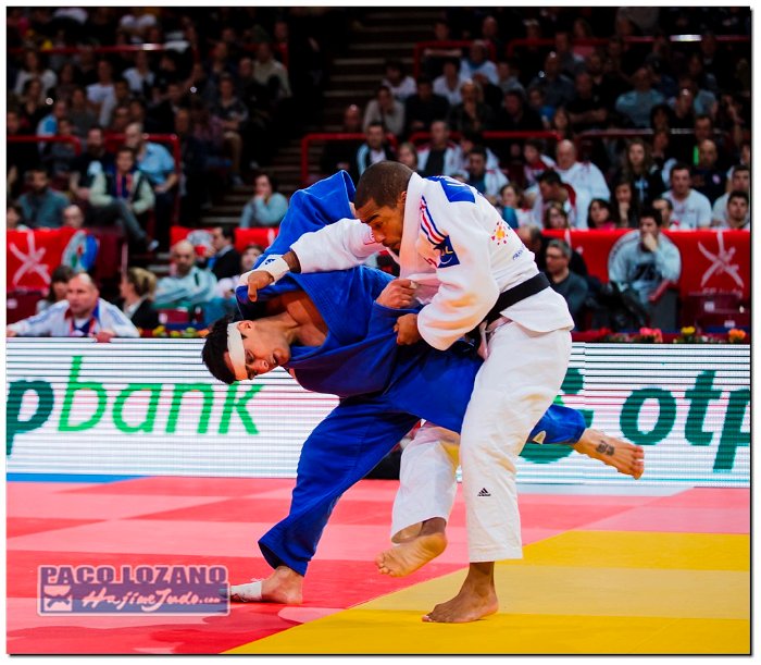 Paris 2014 by P.Lozano cat -66 kg (315)